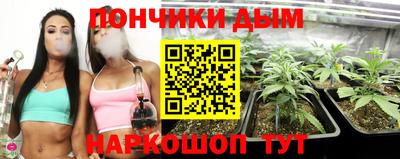 гидра Краснокаменск