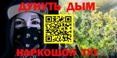 гидра Краснокаменск