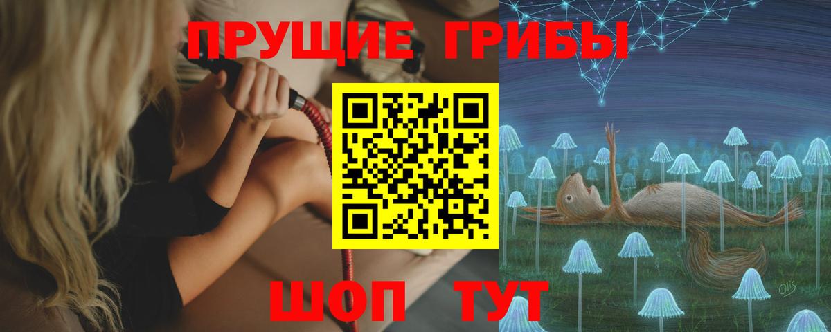 Псилоцибиновые грибы GOLDEN TEACHER Йошкар-Ола