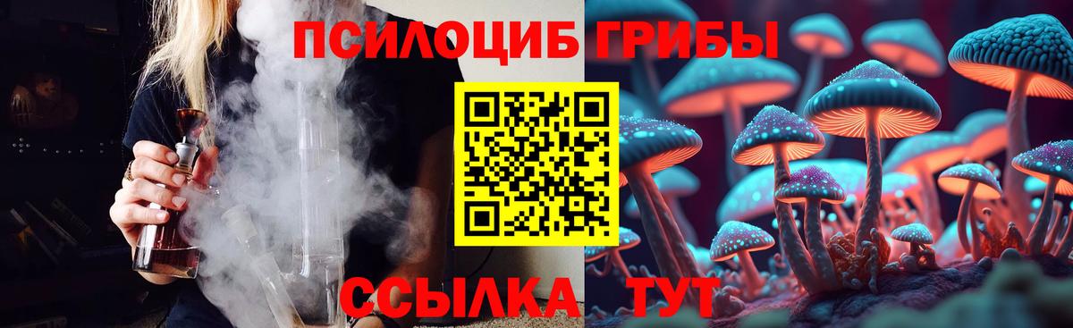 Галлюциногенные грибы Psilocybine cubensis  сколько стоит  Йошкар-Ола  Вход с VPN 